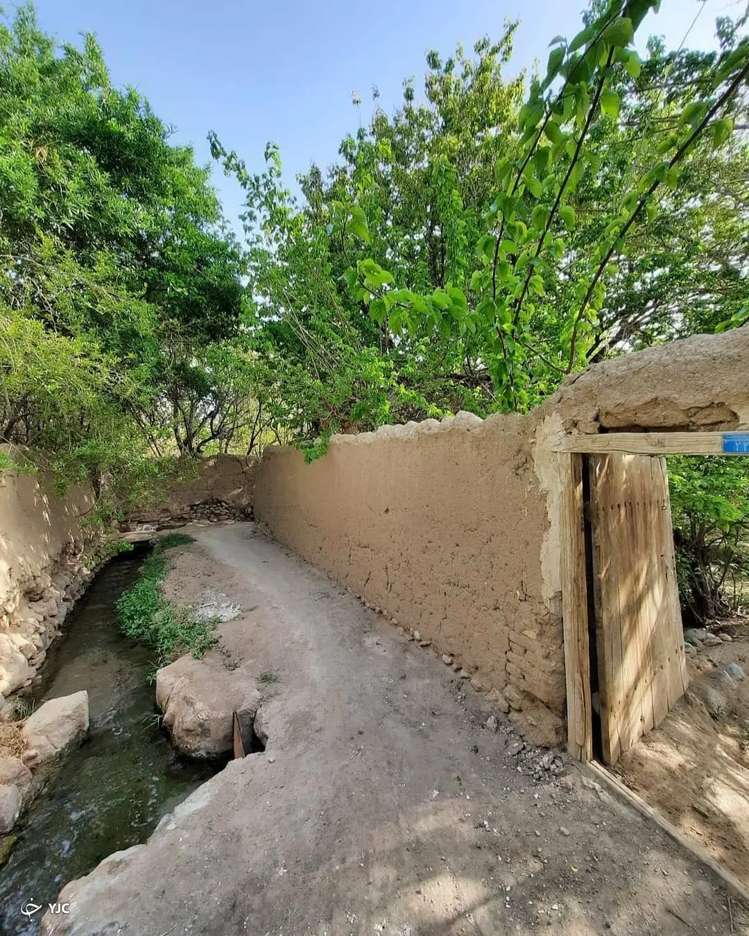 فروش باغ