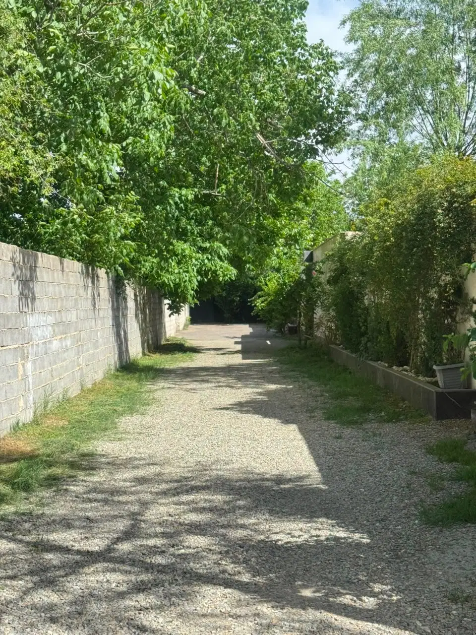 زمین تجاری در چمخاله