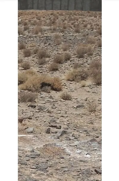 زمین منزلاب شامراد آباد