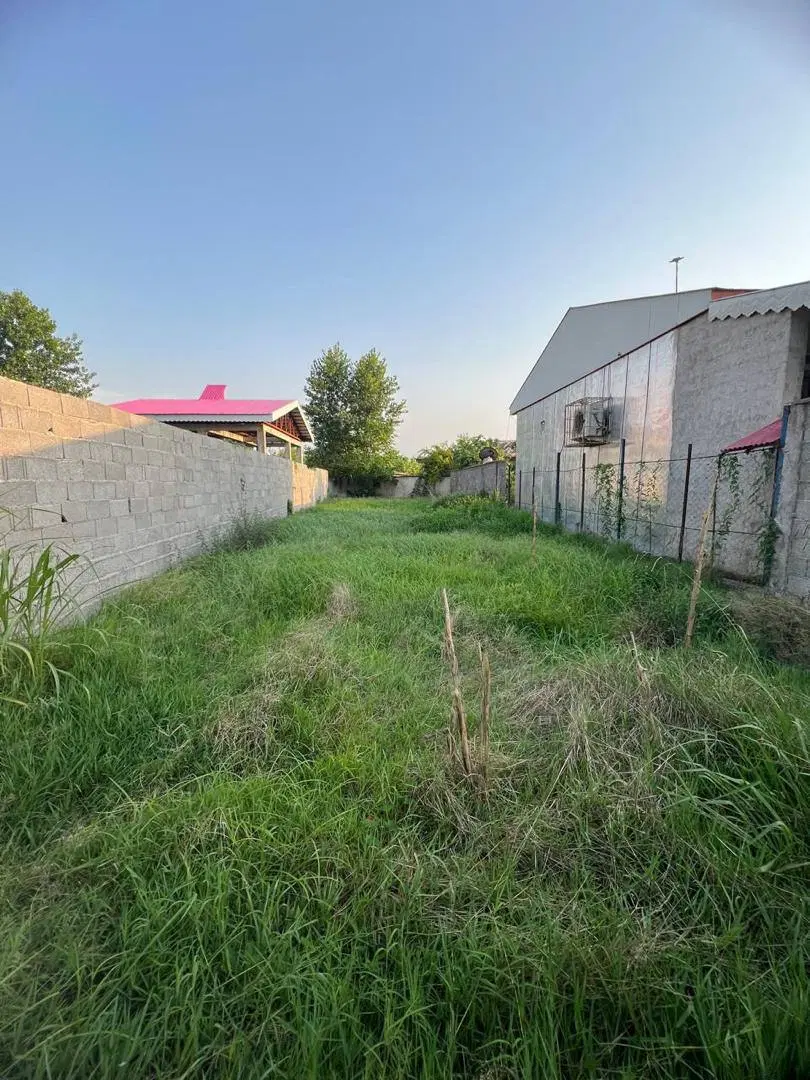 زمین مسکونی 295متری