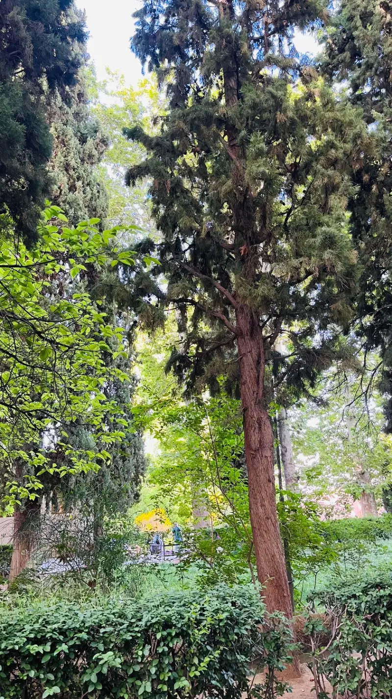 فروش فوق العاده زمین ویلایی