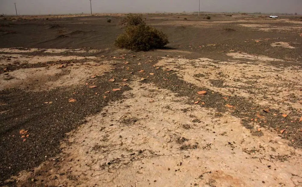زمین 310متری