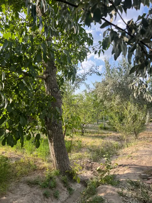 باغ قدیمی اسفهلان