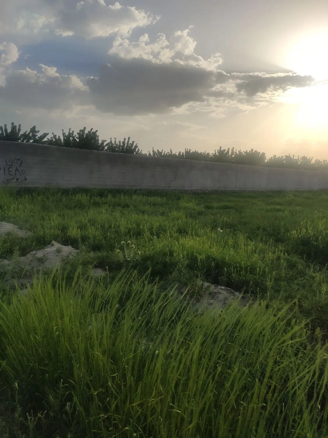 زمین1480متری ملکی جهت باغ ویلا ال دیوار قبل چناران