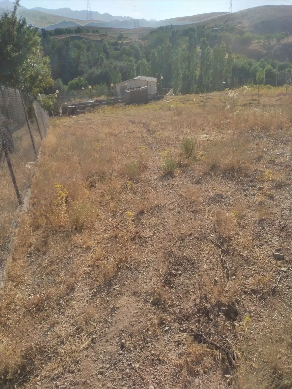 زمین کشاورزی