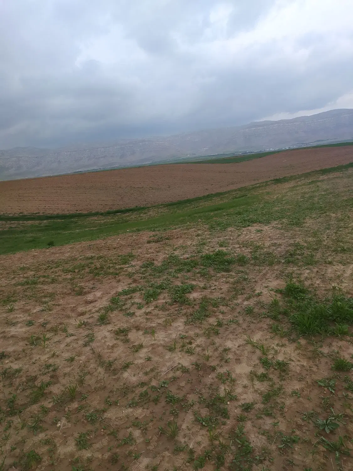 ۱۵۰ متر زمین اول جاده داود رشید