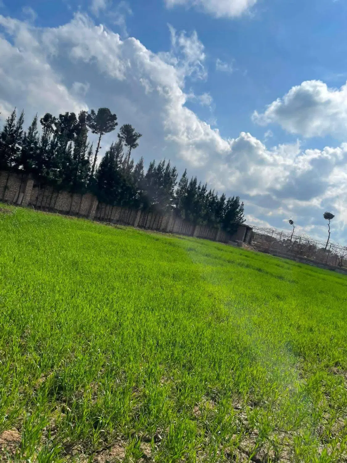 باغچه دیوار کشی شده