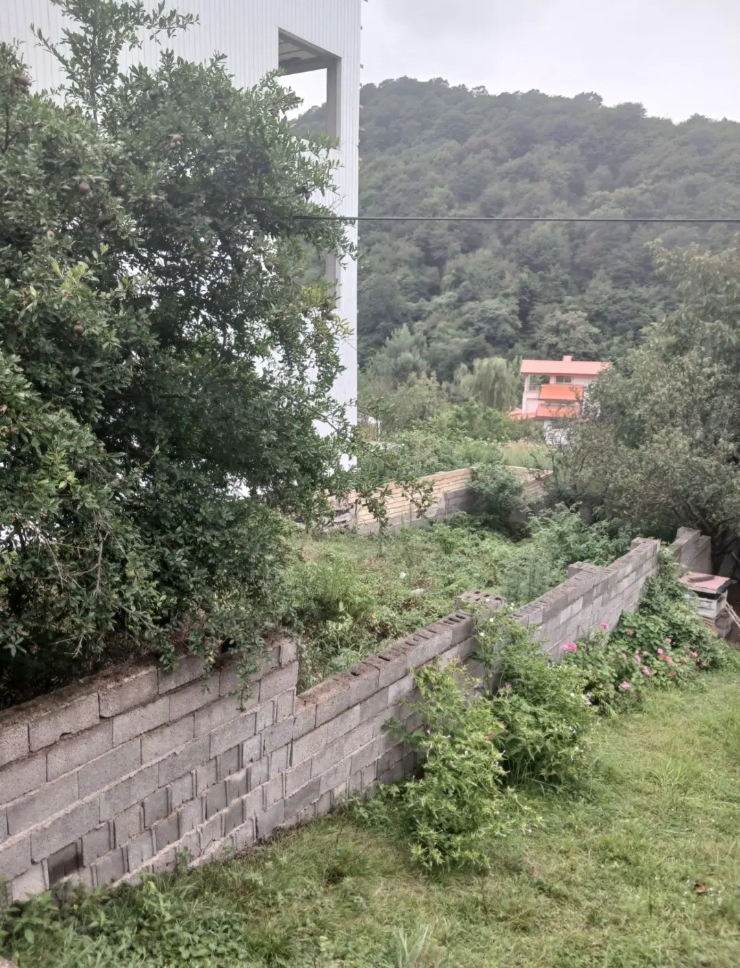 زمین مسکونی