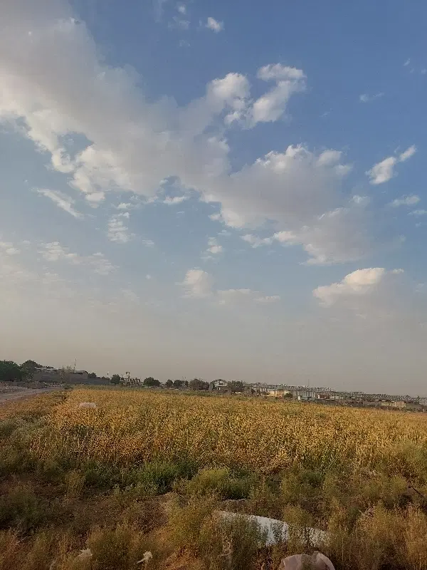 زمین کشاورزی