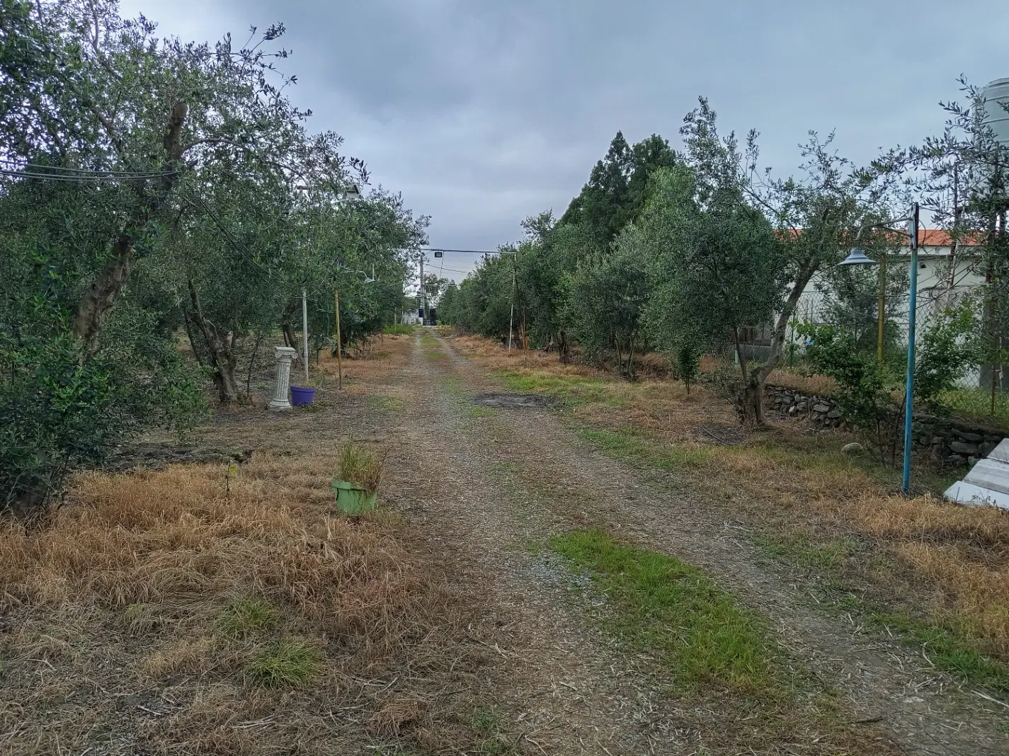 ۸۰۰۰ متر باغ ویلای شهرکی