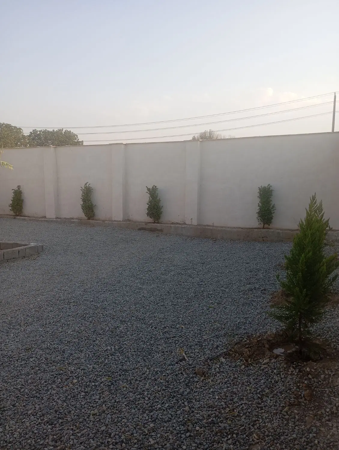 باغچه ۲۵۰متری