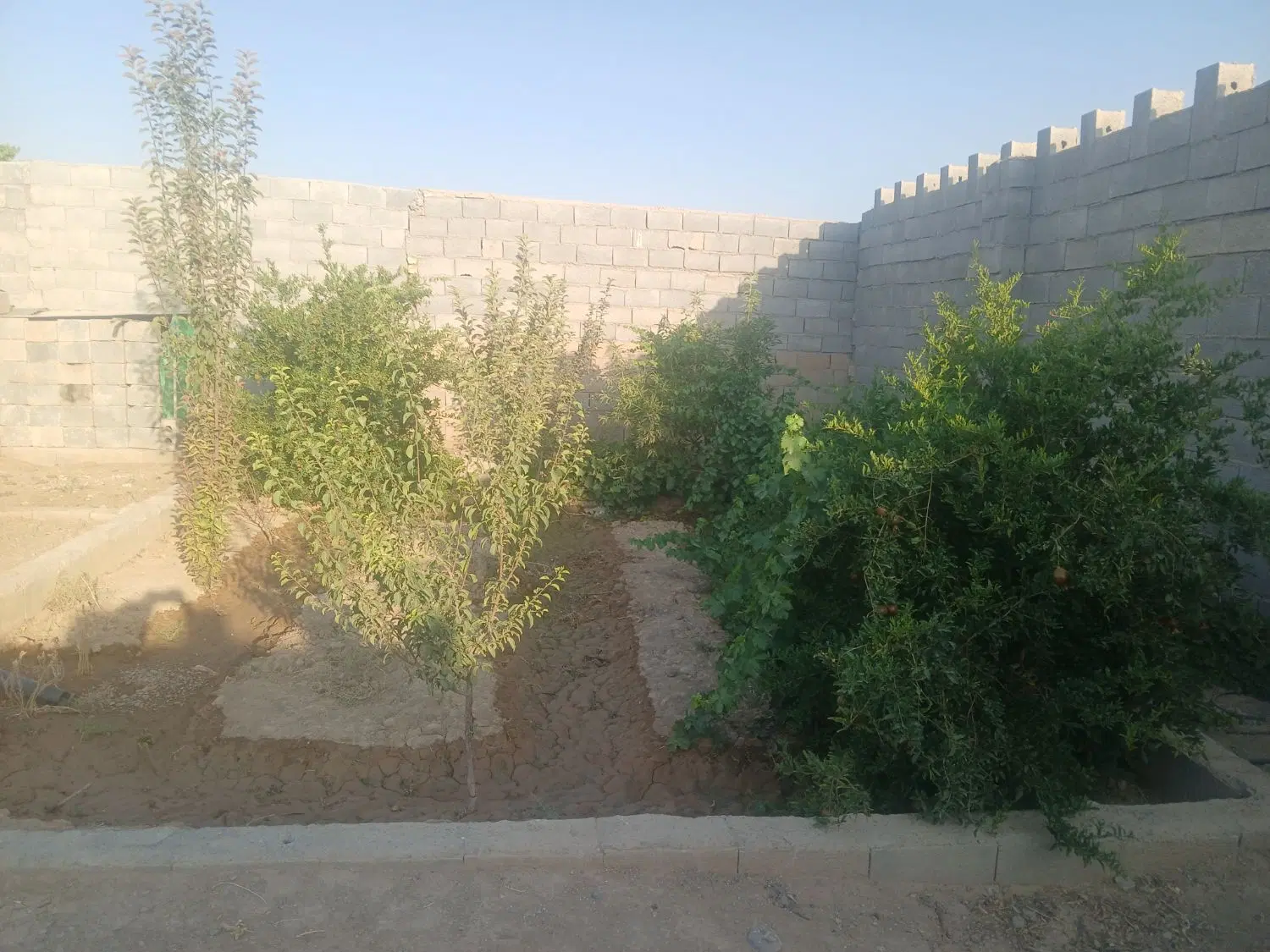 باغ نقلی