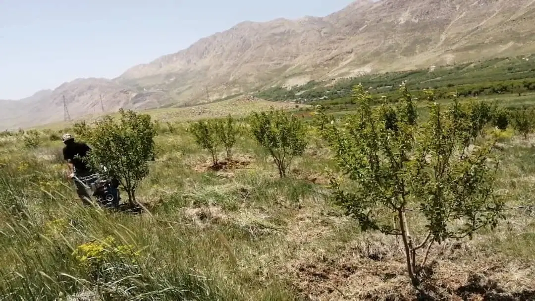 فروش زمین واگذاری فرمانداری