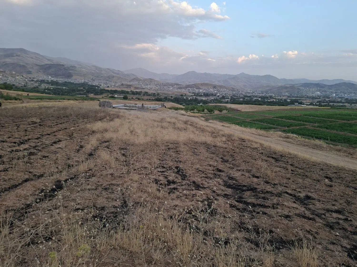 زمین