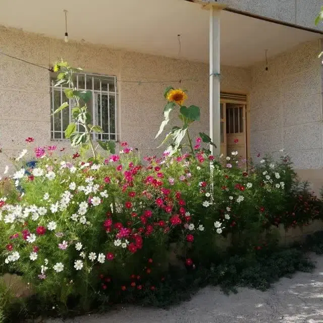 500 متر خانه ویلایی، جنب دانشگاه