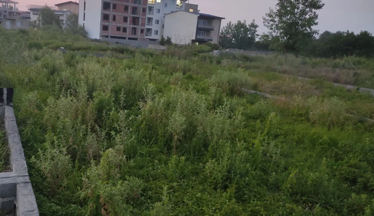 ۳۰۰ متر زمین نوشهر تازه آباد مهستان ۱۴