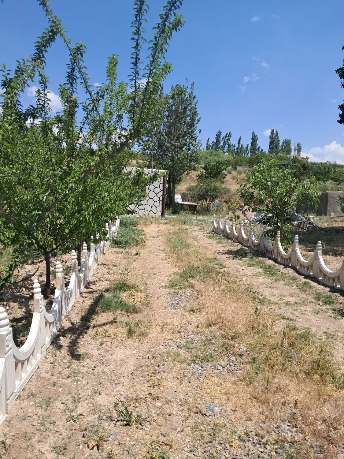 باغ شخصی جاده تبریز