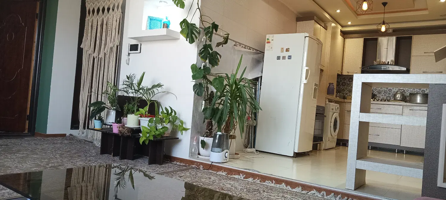 واحد ۸۰ متری ،ابن سینا غربی