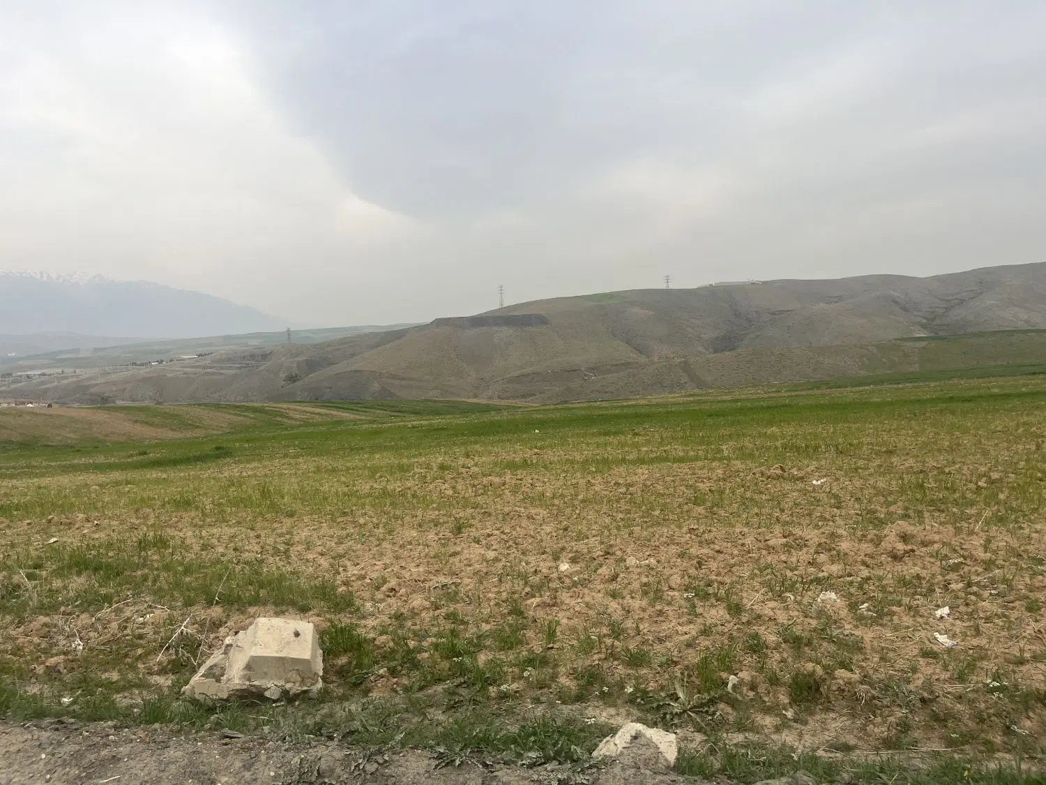 فیش ندامتگاه