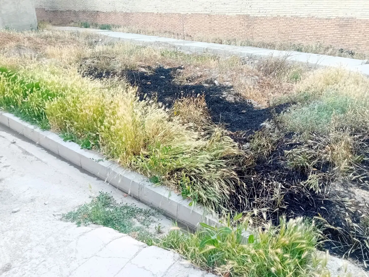 زمین در المهدی قنبری