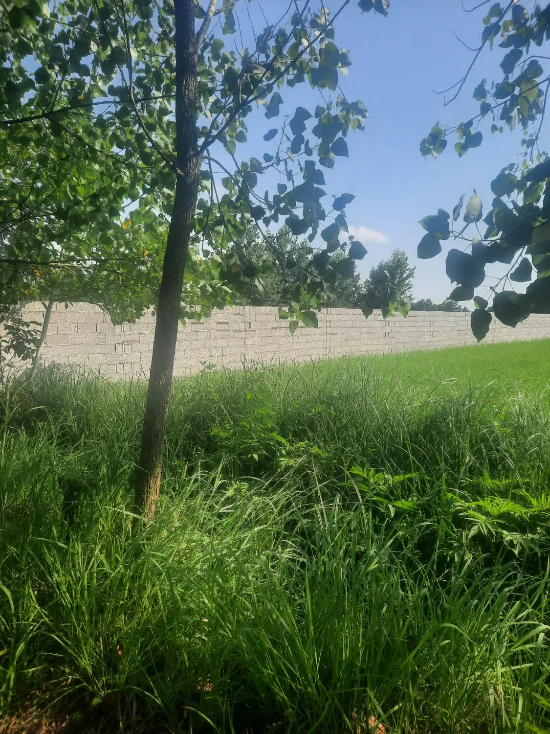 فروش۱۰۰۰ متر زمین مسکونی وباغی،  گیلان، حومه ی رشت