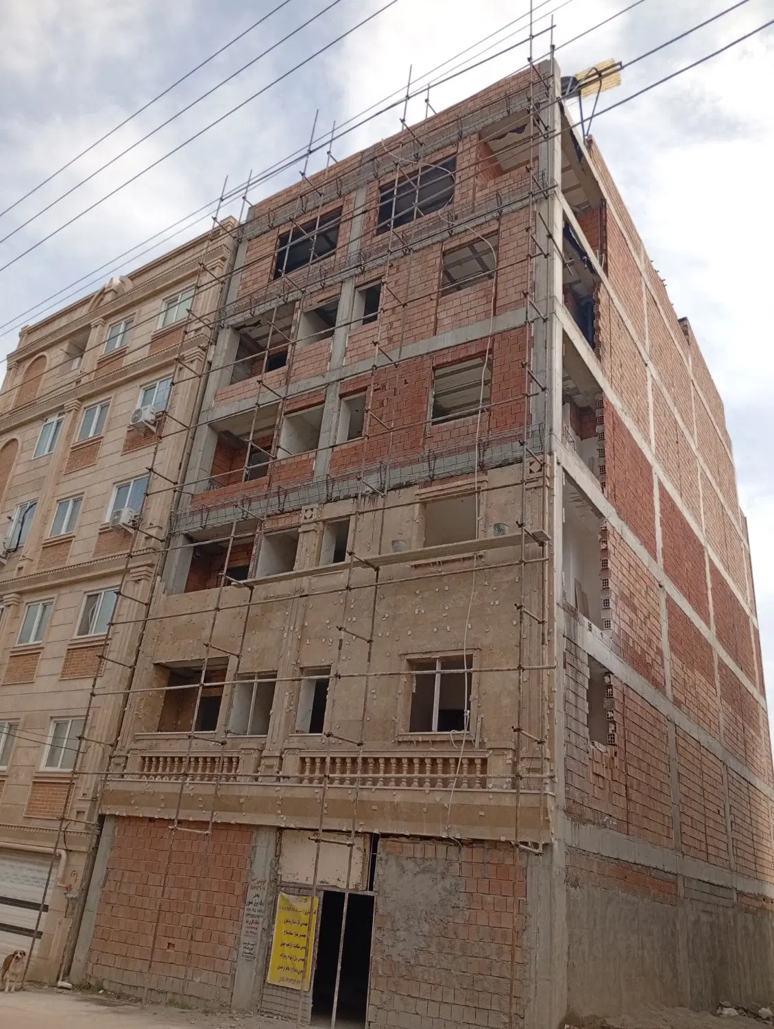 پیش فروش طبیعت