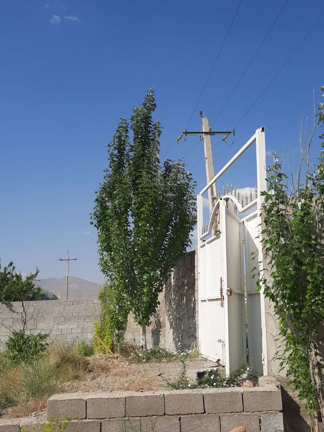 باغ تکمیل در اسپیران