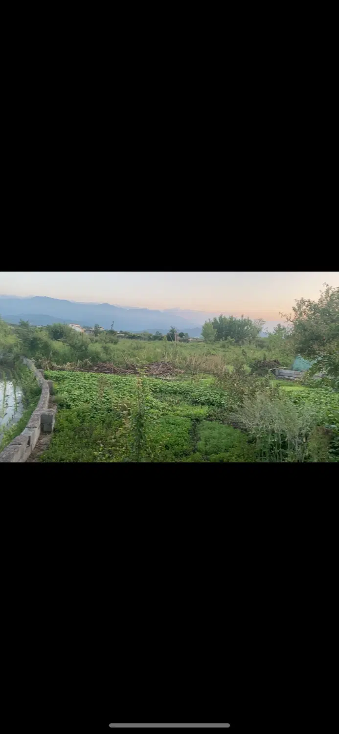 زمین۴۰۴ متری سند دار  مسکونی گیلان (املش،سورکوه)