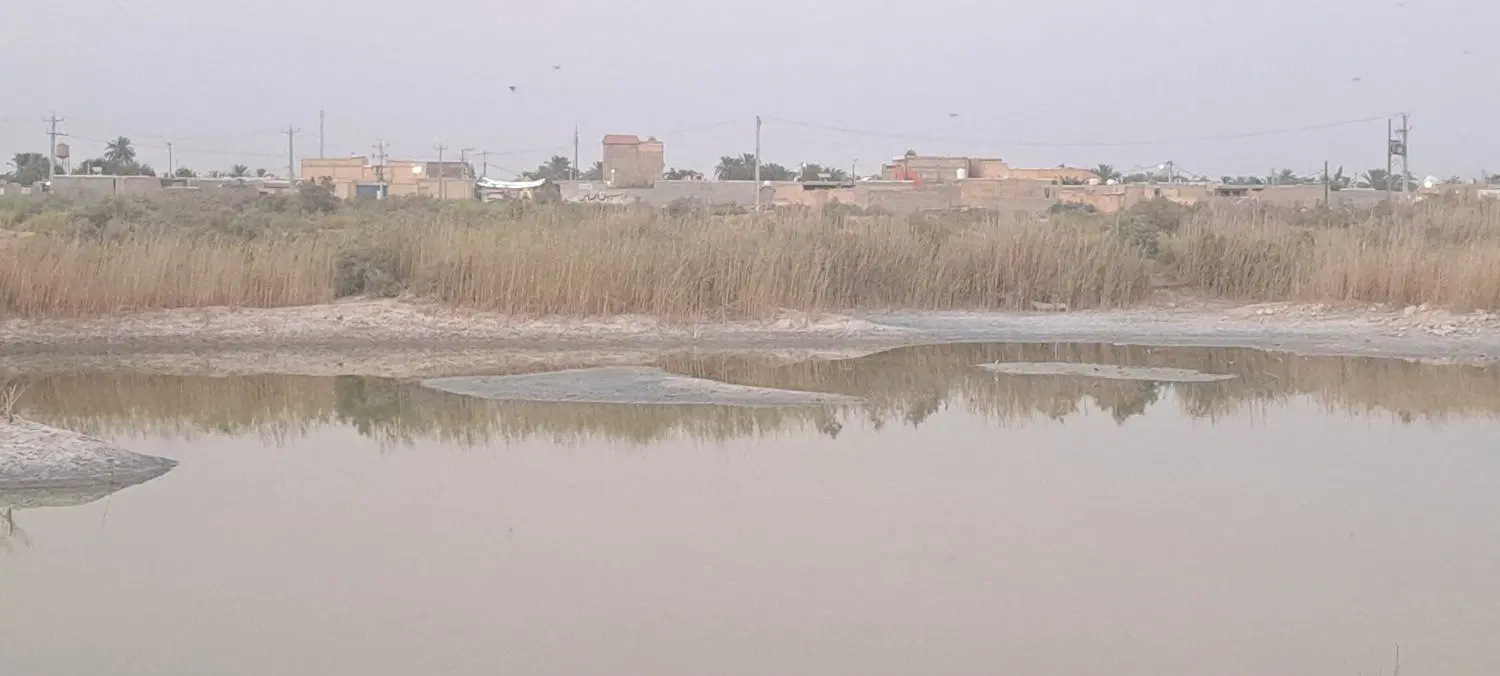 زمین