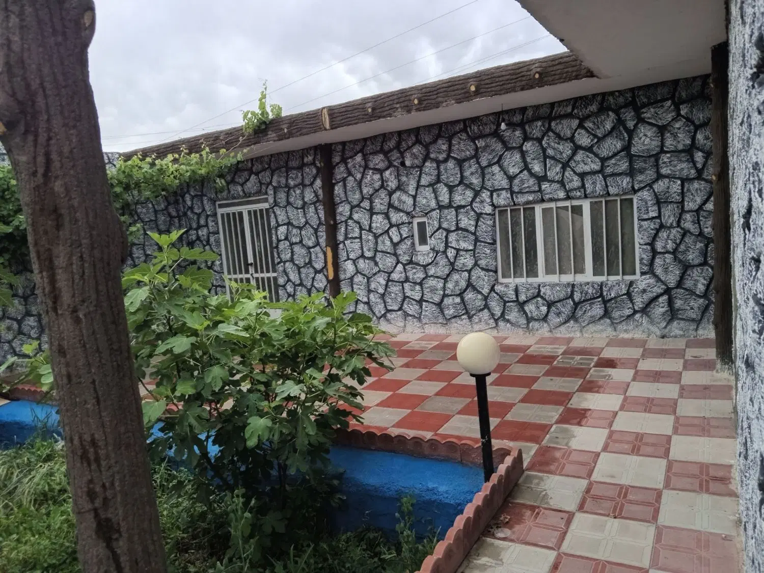 حیاط ویلایی در باغمعروف