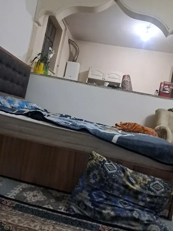همخانه