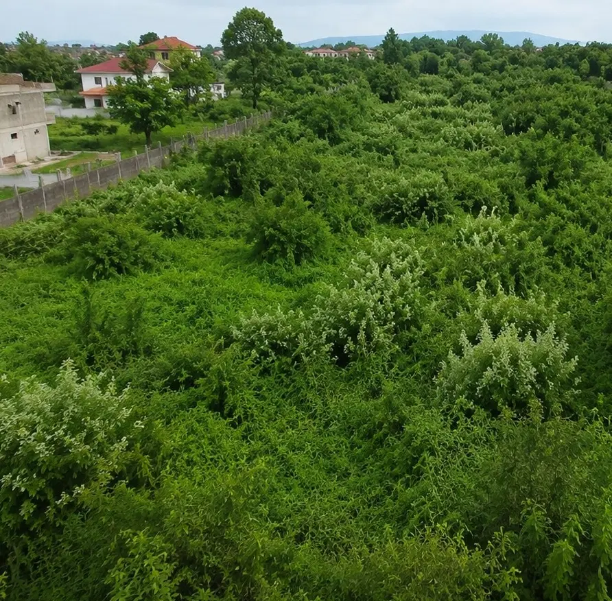 زمین مسکونی و سند تک برگ به مساحت ۶۵۰ متر