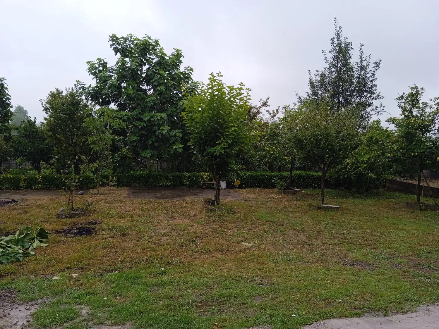 زمینی به متراژ ۱۵۰ متر  دور دیوار