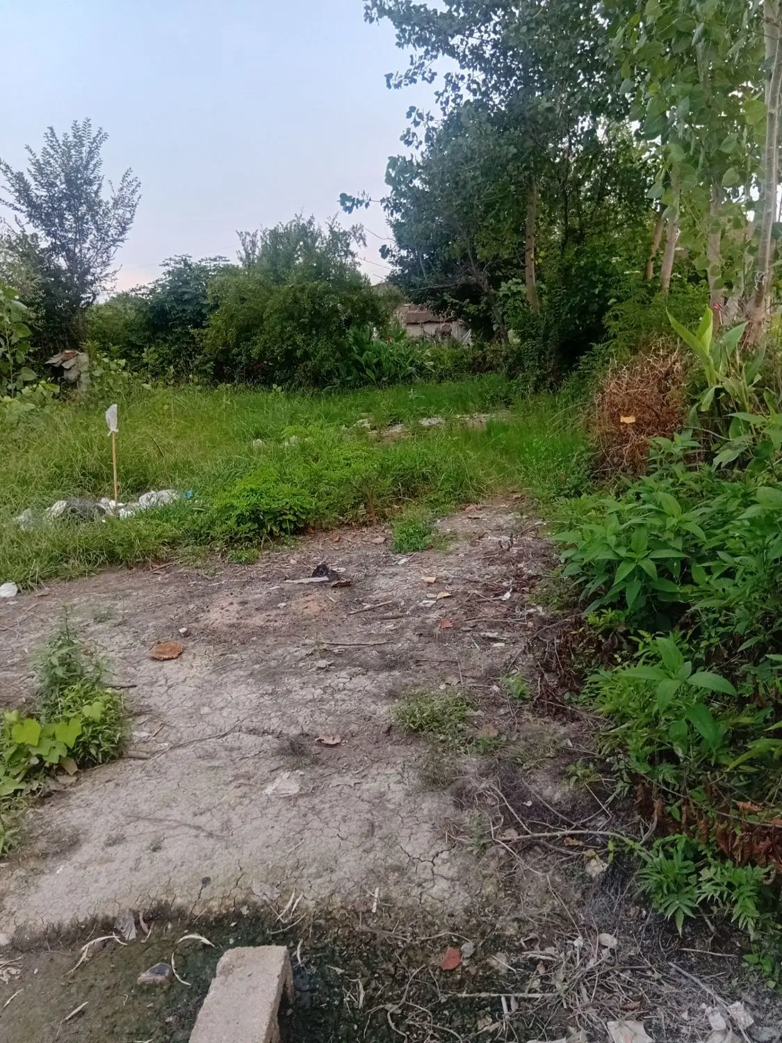 ۹۹۸متر مسکونی