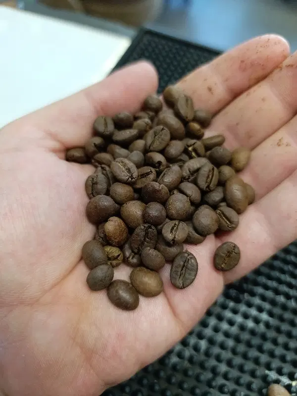 واگذاری کافه صبحانه
