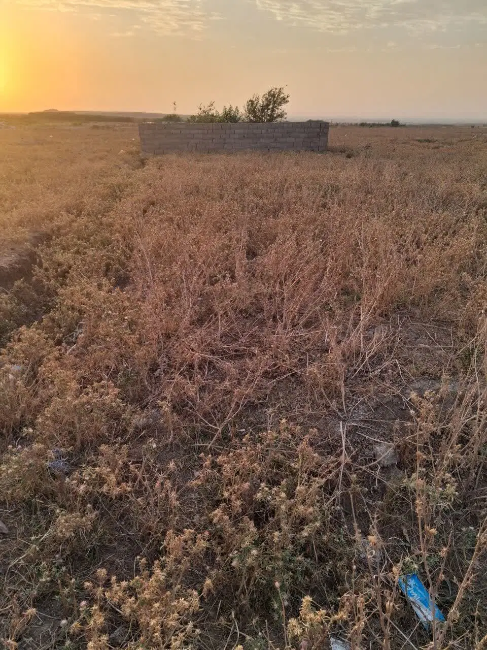 زمین محمود آباد گالیکش