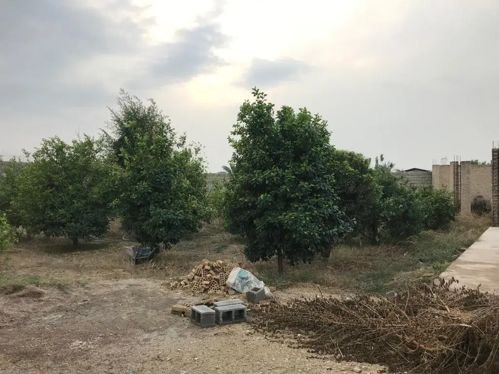 باغ باموقعیت عالی دربهترین کوچه باغ شمس آباد دزفول