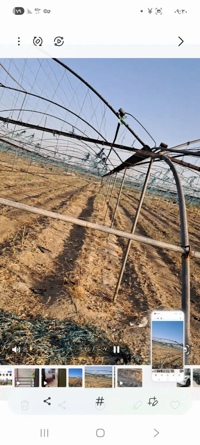 گلخانه جهت اجاره یکساله