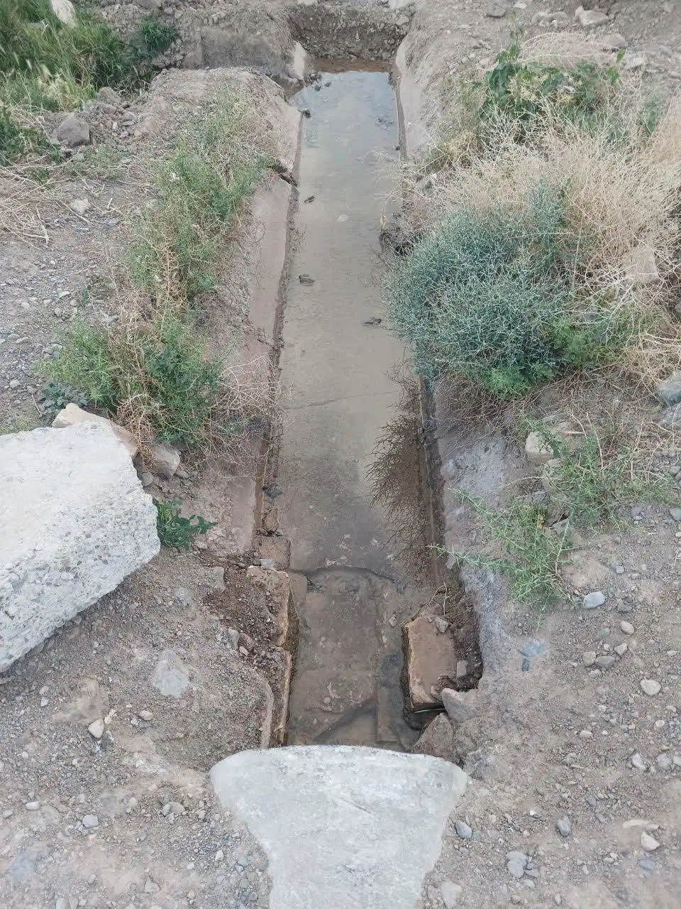 زمین 1260متری پدیده