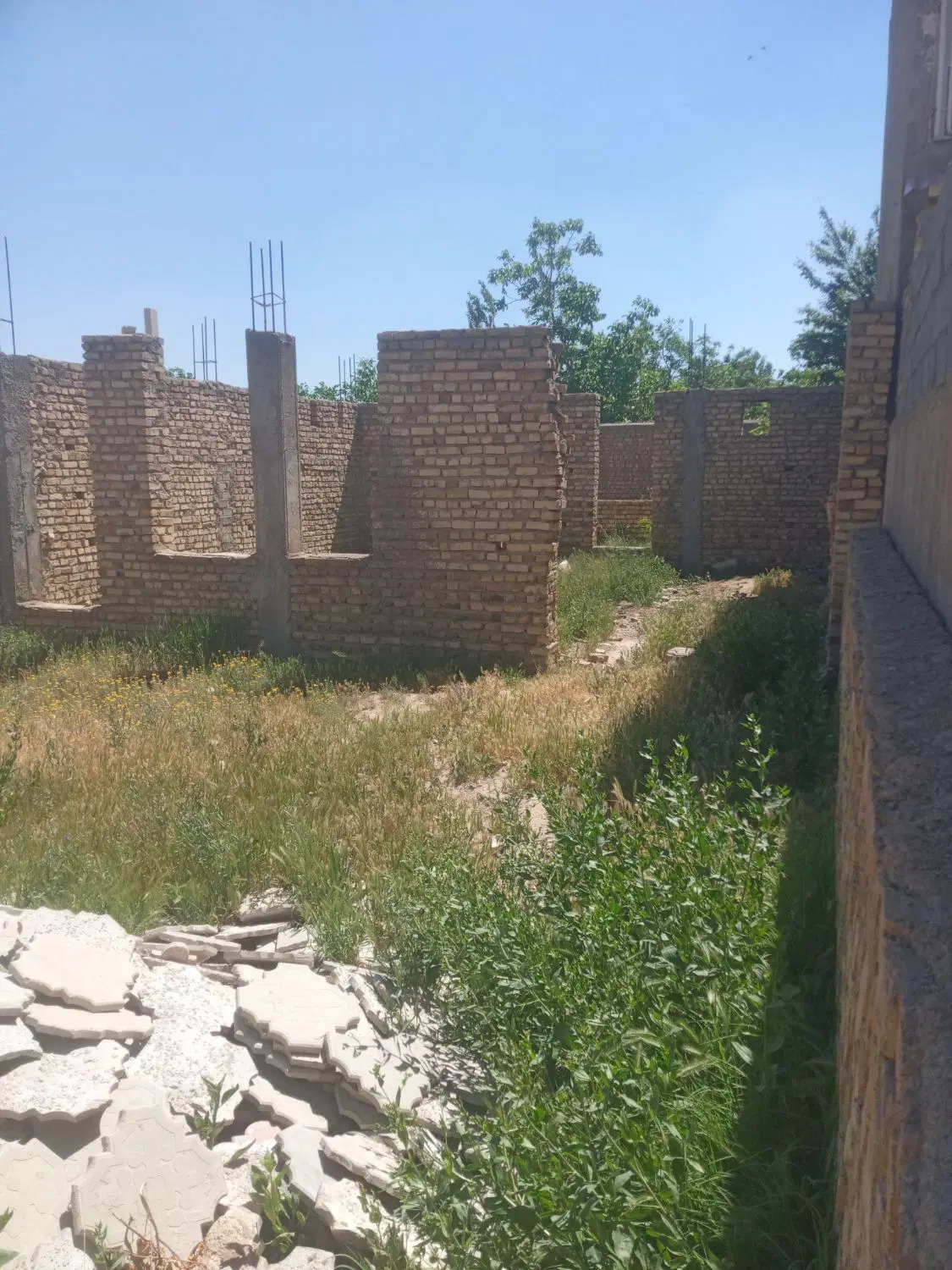 زمین سندار تک برگ با مجوز