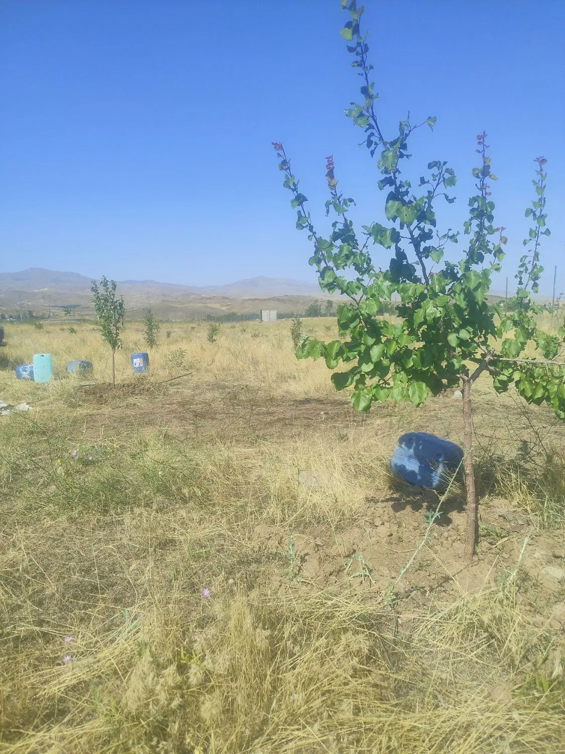 باغ قطره ای دارایه فنس