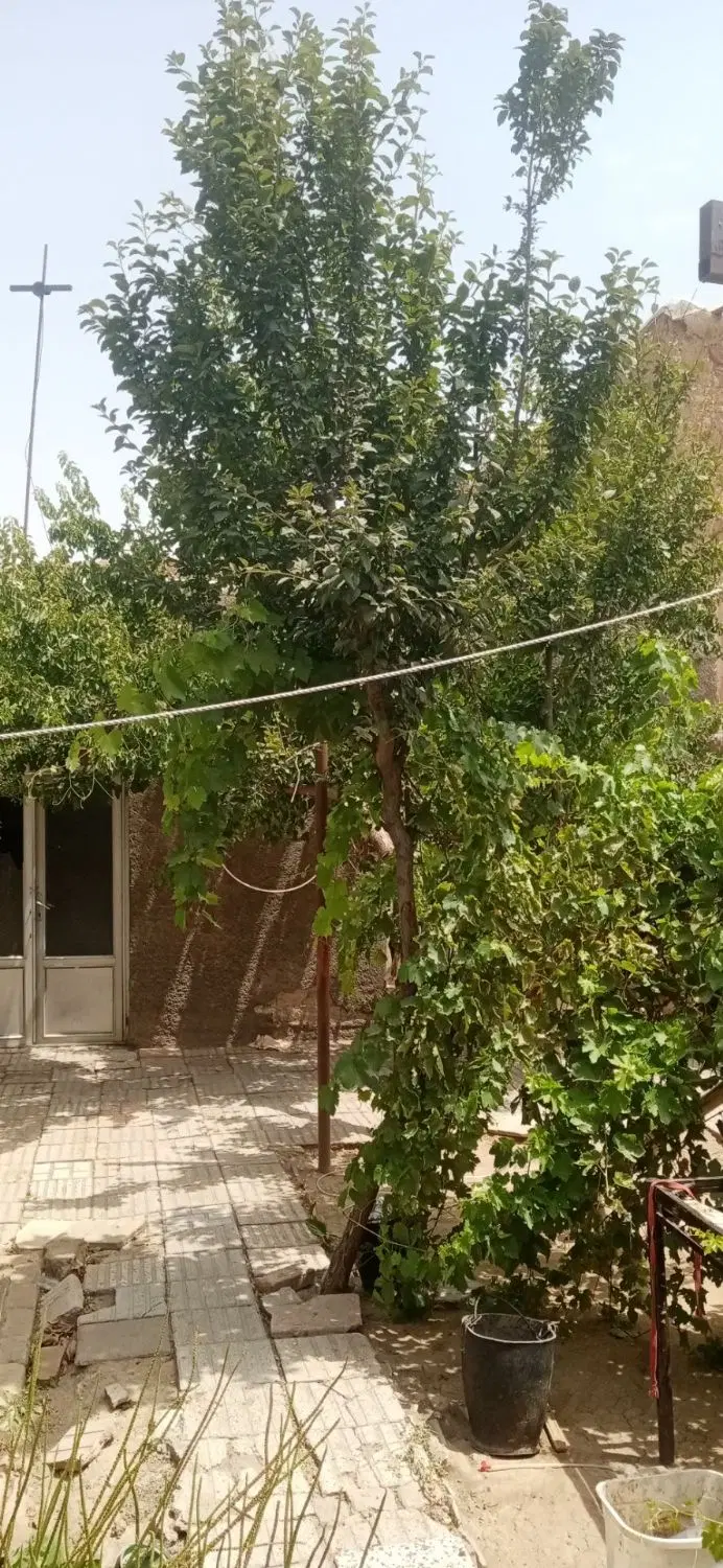 ۲۴۰ متر منزل کلنگی سند تک برگ