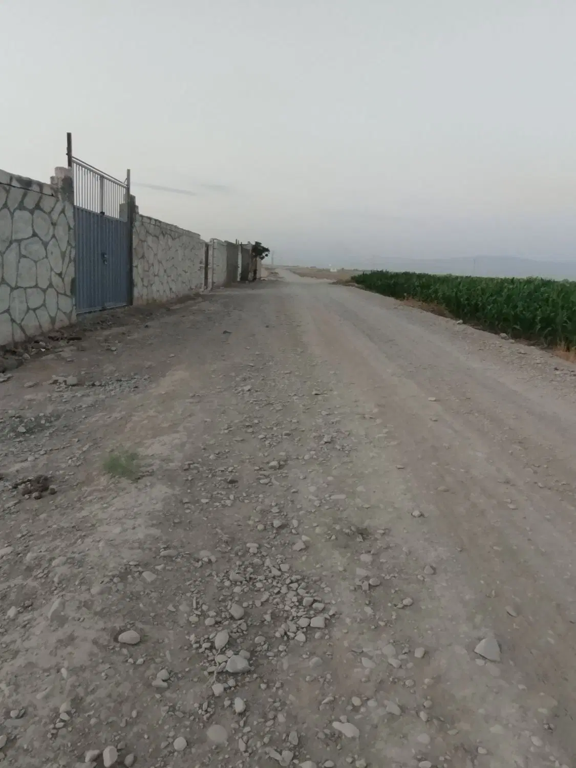 زمین کشاورزی جمال اباد