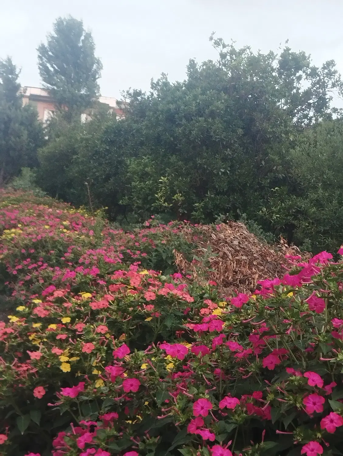 فروش زمین جاده نظامی
