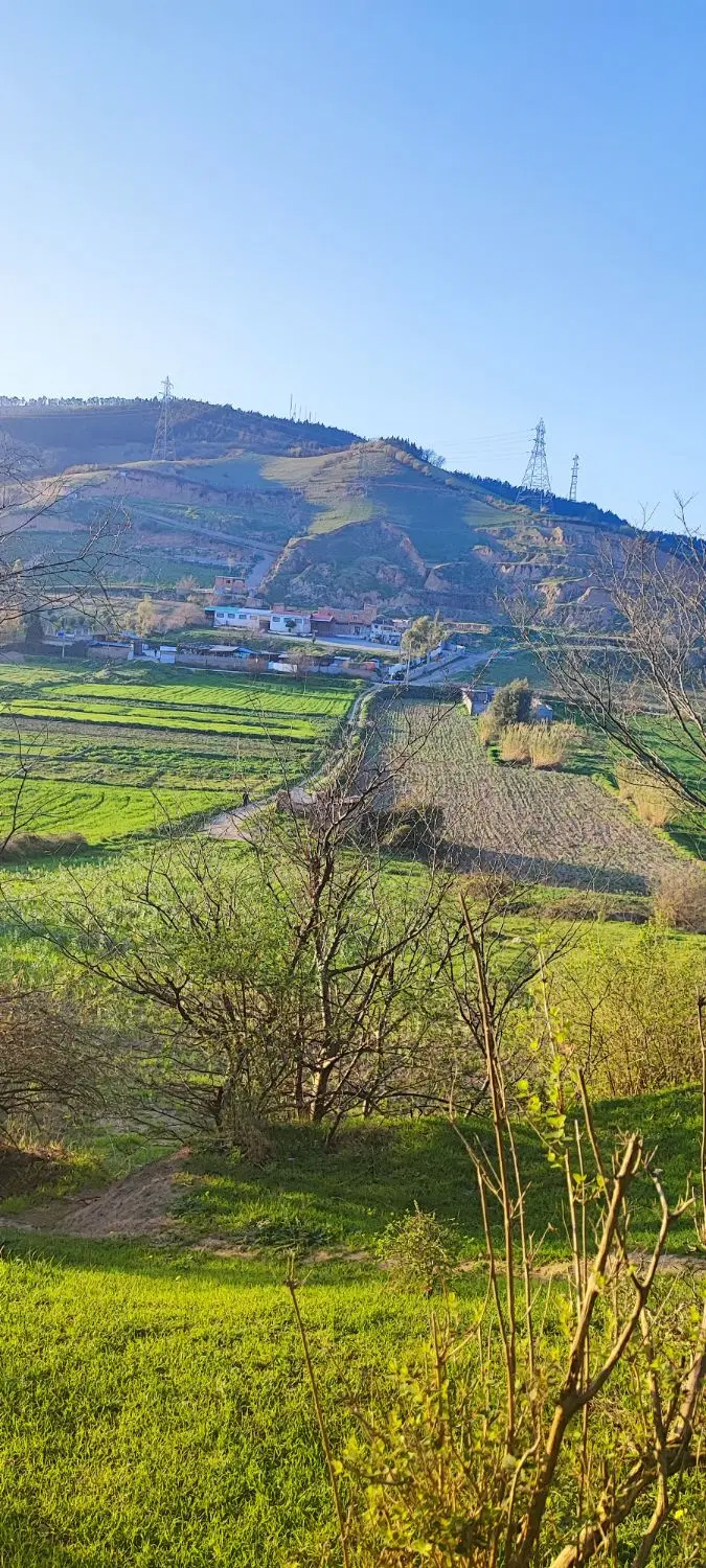 زمین