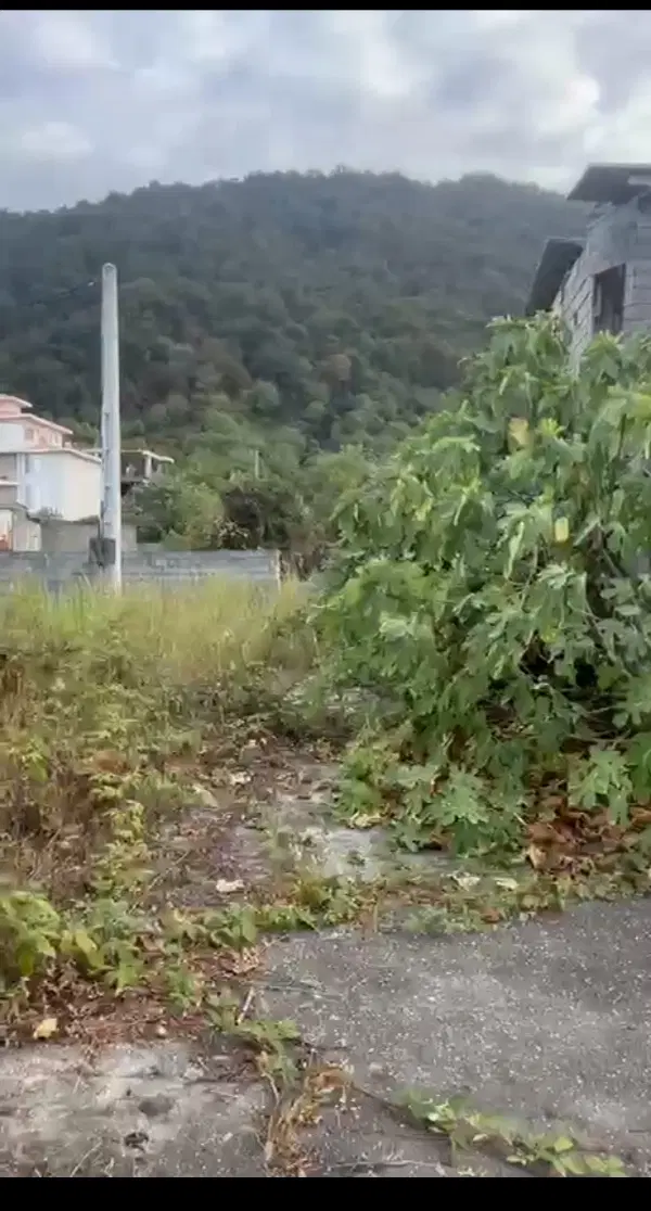 ۱۰۰۰متر زمین در سورخانی همراه با آب و برق.سنددار