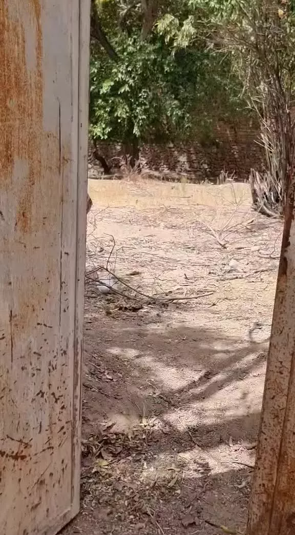 فرصت سرمایه گذاری ملک