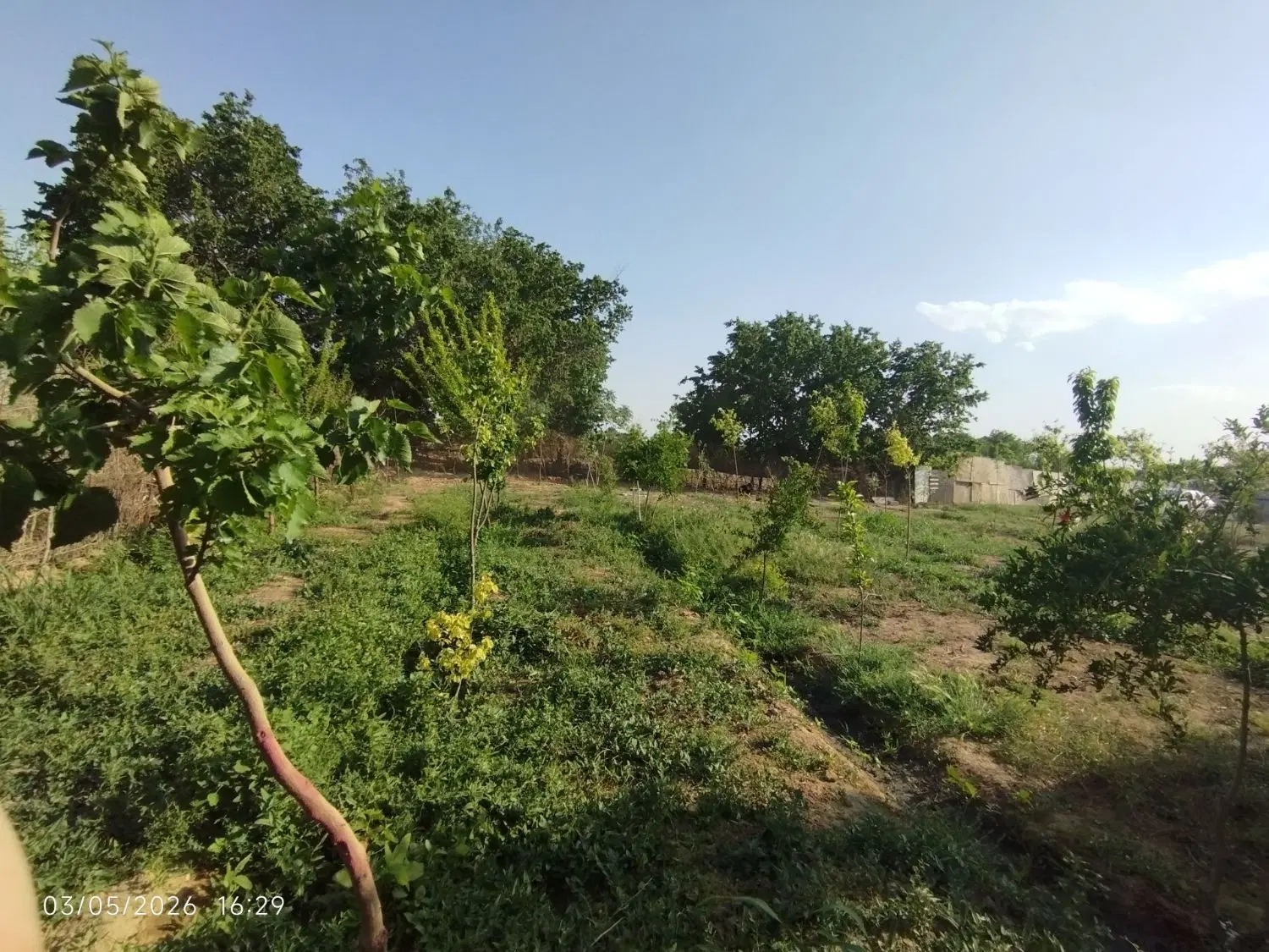 زمین باغچه عظیم آباد