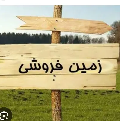 زمین مسکونی ۲۳۱ متر موقعیت مناسب
