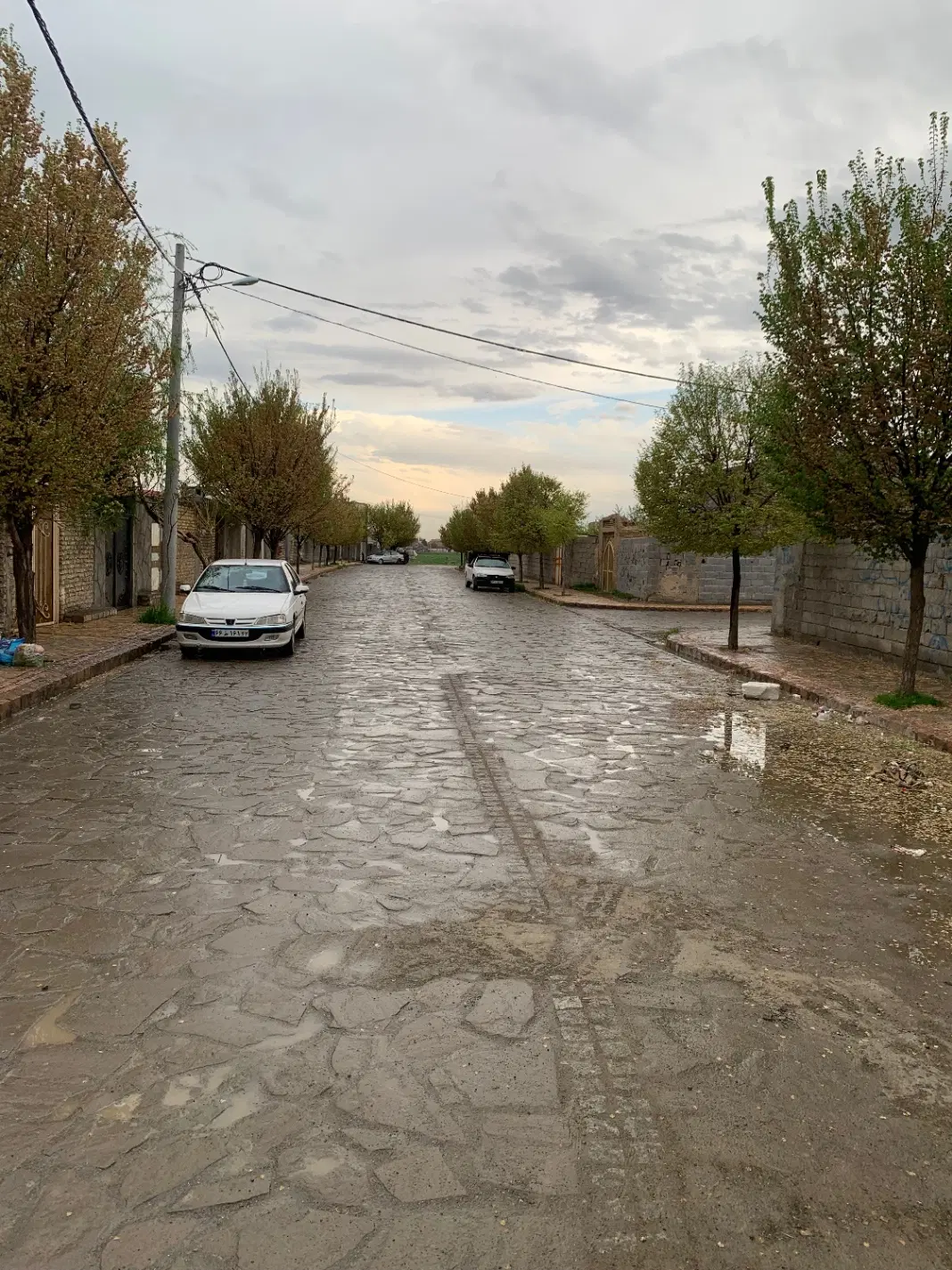 زمین۸۶متری
